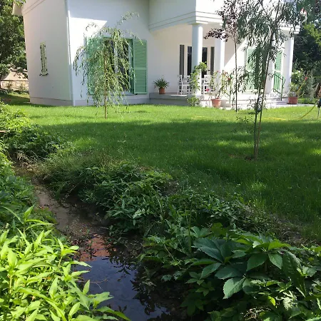 Rosa Centre באלאטונפורד