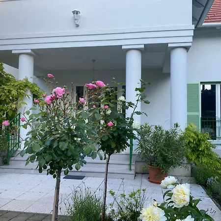 Rosa Centre 巴拉顿菲赖德