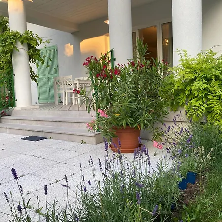 Rosa Centre * Balatonfüred