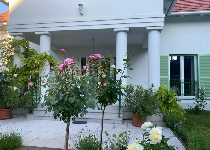 Rosa Centre 巴拉顿菲赖德